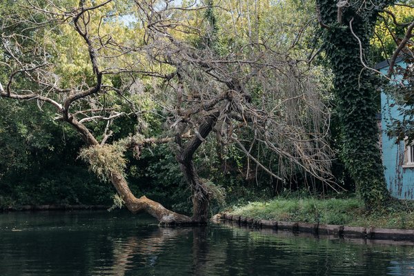 Allergies alimentaires : 10 aliments à risque